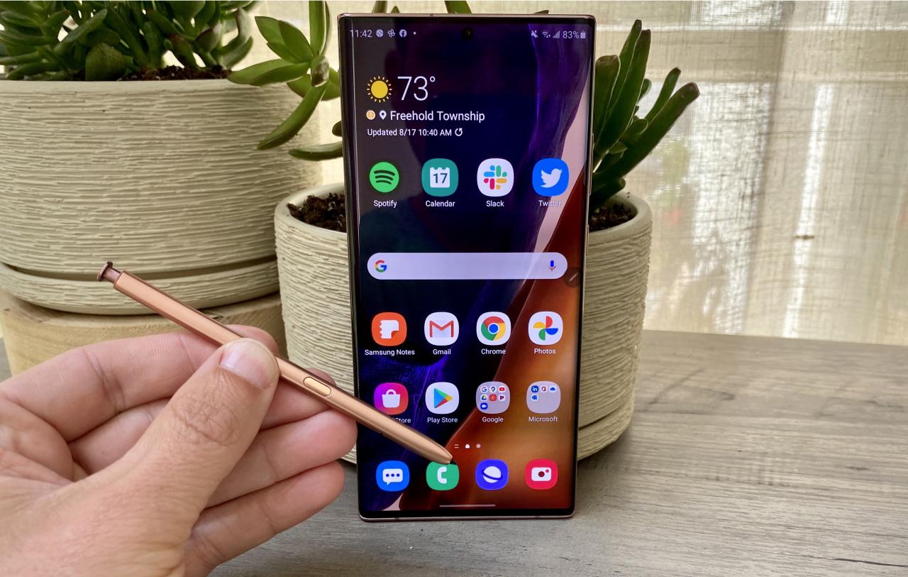 Samsung s 19